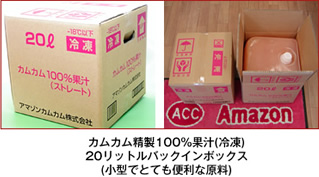 カムカム精製100%果汁(冷凍)20リットルバックインボックス(小型でとても便利な原料)