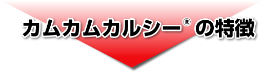 カムカムカルシーの特徴