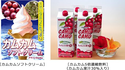［カムカムソフトクリーム］　［カムカム5倍濃縮飲料］（カムカム果汁30％入り）